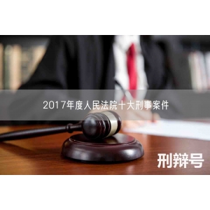 2017年度人民法院十大刑事案件
