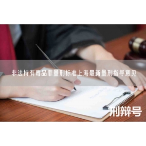 非法持有毒品罪量刑标准上海最新量刑指导意见