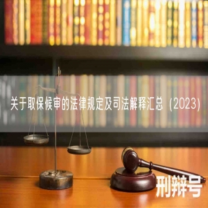 关于取保候审的法律规定及司法解释汇总（2023）