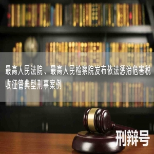 最高人民法院、最高人民检察院发布依法惩治危害税收征管典型刑事案例
