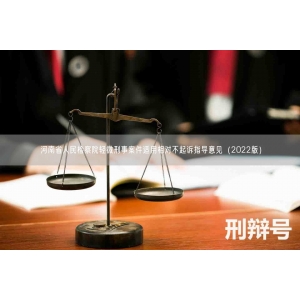 河南省人民检察院轻微刑事案件适用相对不起诉指导意见（2022版）