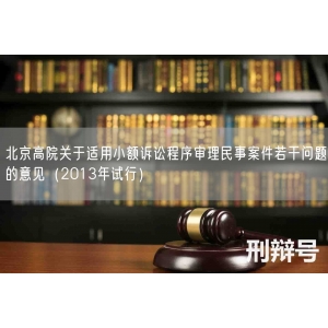 北京高院关于适用小额诉讼程序审理民事案件若干问题的意见（2013年试行）