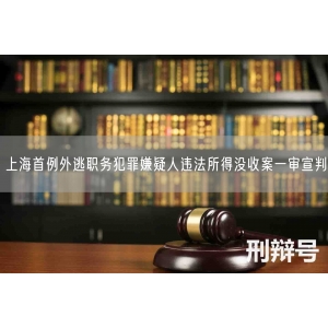 上海首例外逃职务犯罪嫌疑人违法所得没收案一审宣判