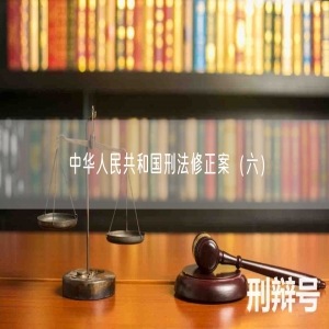 中华人民共和国刑法修正案（六）