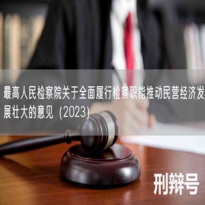 最高人民检察院关于全面履行检察职能推动民营经济发展壮大的意见（2023）