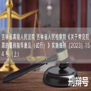 吉林省高级人民法院 吉林省人民检察院《关于常见犯罪的量刑指导意见（试行）》实施细则〔2023〕154 号（上）