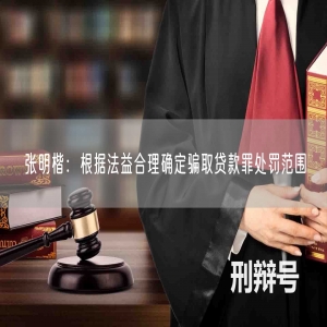 张明楷：根据法益合理确定骗取贷款罪处罚范围