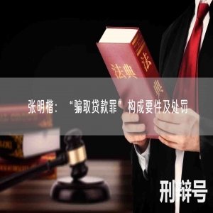 张明楷：“骗取贷款罪”构成要件及处罚